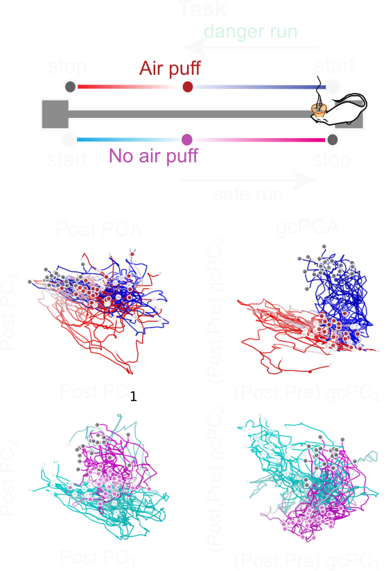 Side-by-side PCA and gcPCA replay comparison showing replay-related structure more clearly in gcPCA.